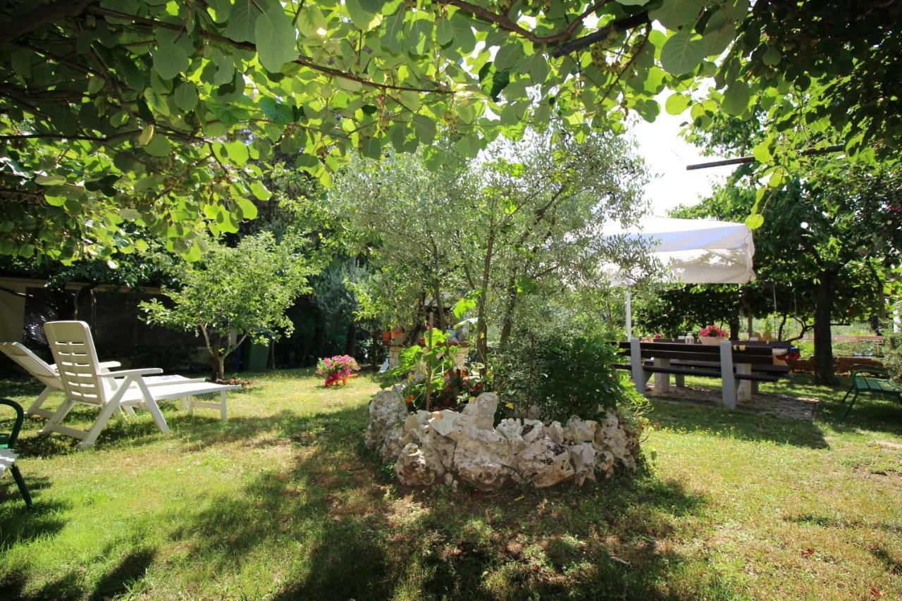 Modern Apartment Sabina With Nice Garden Poreč Eksteriør bilde